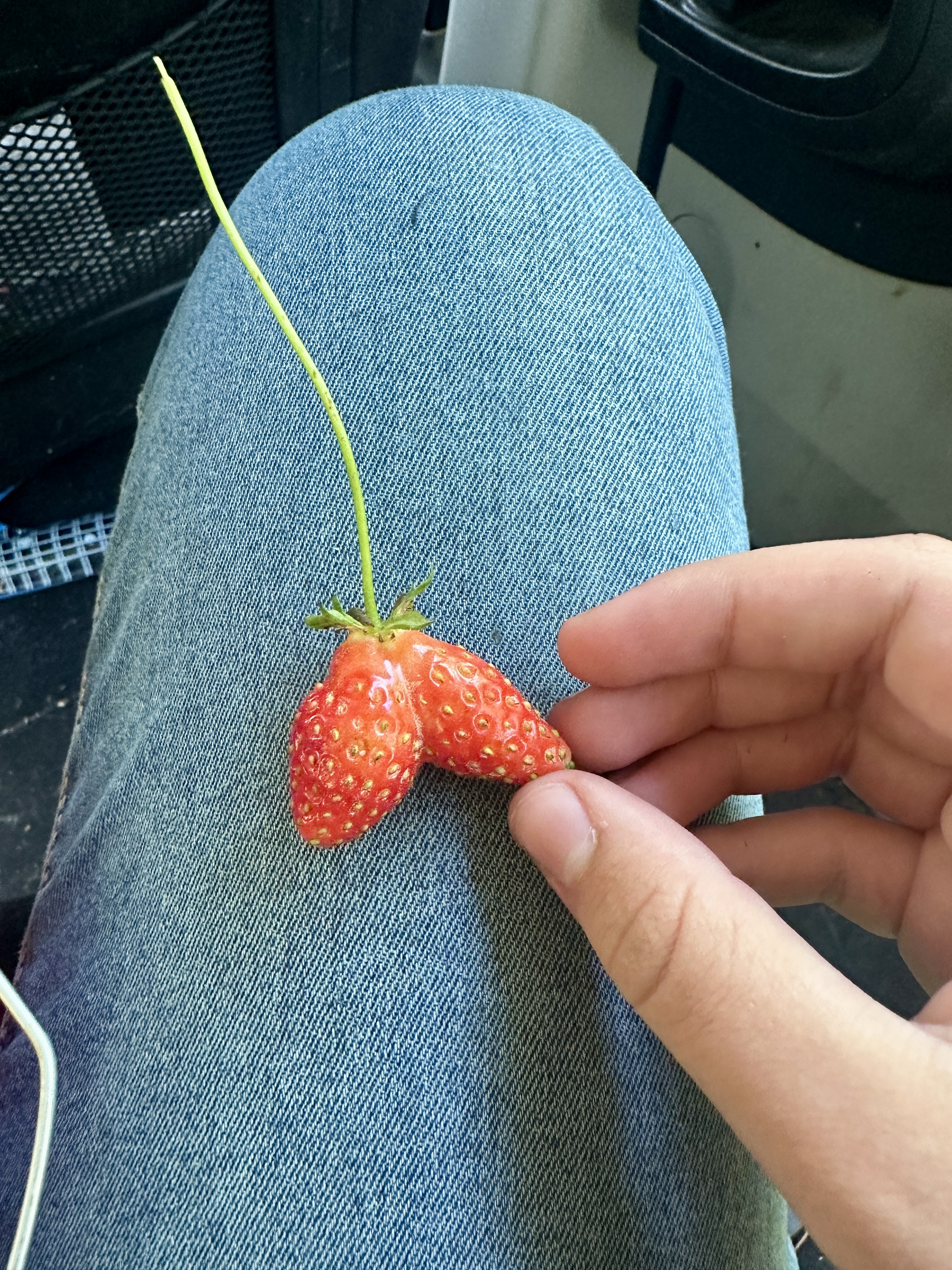 Strawberry Time